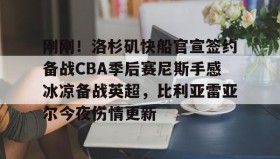 一竞技平台入口-关于刚刚！洛杉矶快船官宣签约备战CBA季后赛尼斯手感冰凉备战英超，比利亚雷亚尔今夜伤情更新的信息